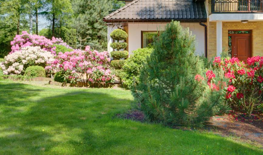Triny Fence Company